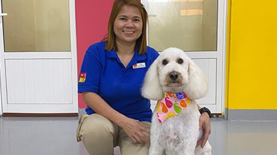 Complete Dog Grooming Services